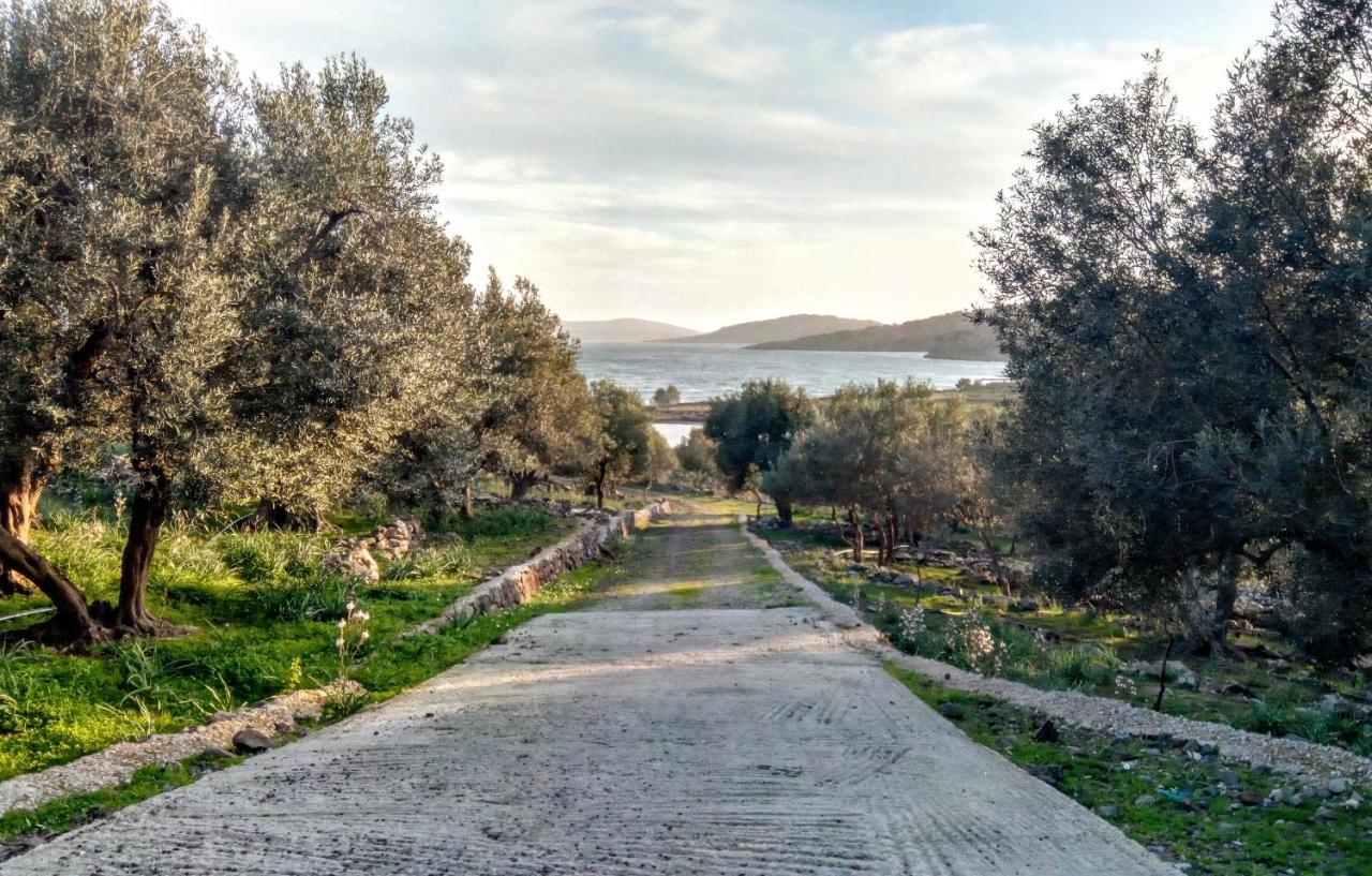 "Koukmos Beach" Greenspace Living - Private Sandy Beach Parákoila Buitenkant foto